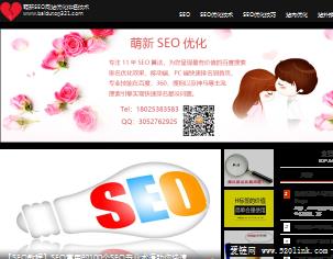 这是一个SEO优化技术培训教程学习的博客『萌新SEO』